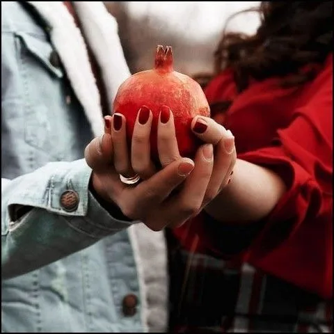 بک گراند شب یلدا با کیفیت بالا