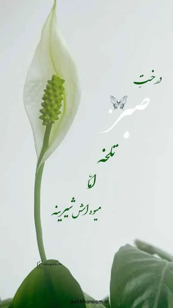 تصویر مرتبط با ۲۰ مدل عکس نوشته صبح بخیر برای شروع روزی پرانرژی و مثبت