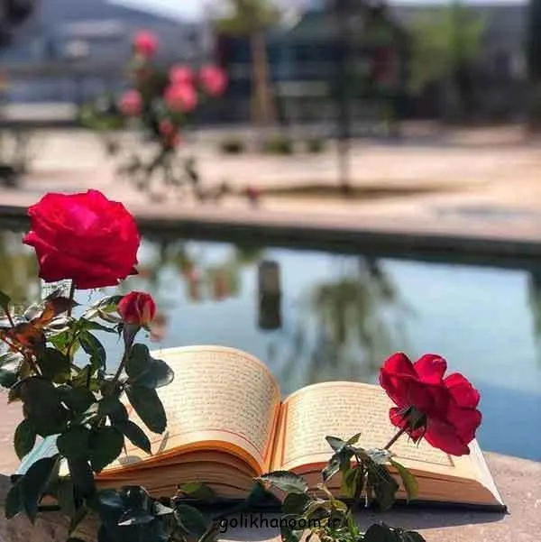 تصویر مرتبط با ۵۰ مدل زیبا و متنوع عکس گل برای پروفایل واتساپ
