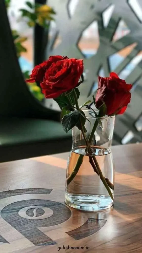تصویر مرتبط با ۵۰ مدل زیبا و متنوع عکس گل برای پروفایل واتساپ