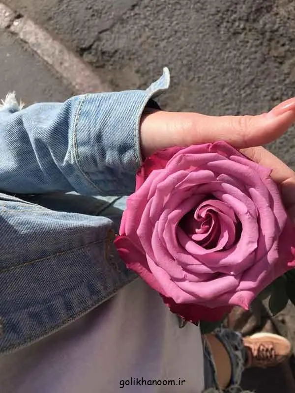 تصویر مرتبط با ۵۰ مدل زیبا و متنوع عکس گل برای پروفایل واتساپ