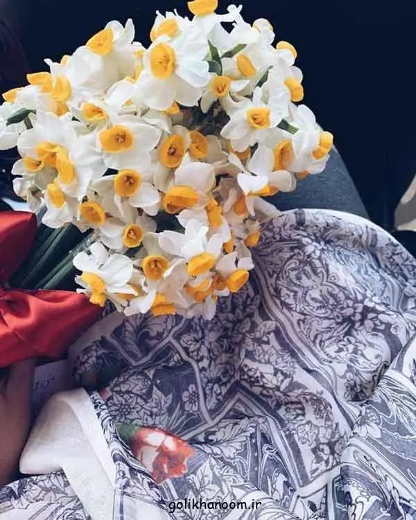 تصویر مرتبط با ۵۰ مدل زیبا و متنوع عکس گل برای پروفایل واتساپ