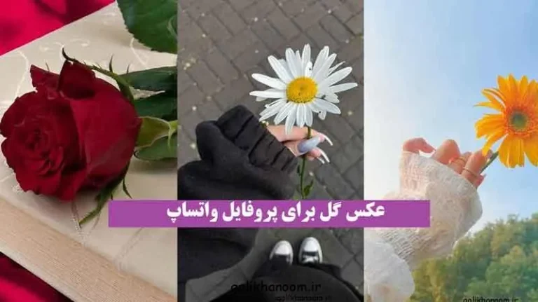 عکس گل برای پروفایل واتساپ؛ عکس گل زیبا و متنوع برای پروفایل واتساپ