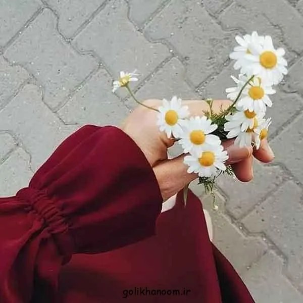 تصویر مرتبط با ۵۰ مدل زیبا و متنوع عکس گل برای پروفایل واتساپ