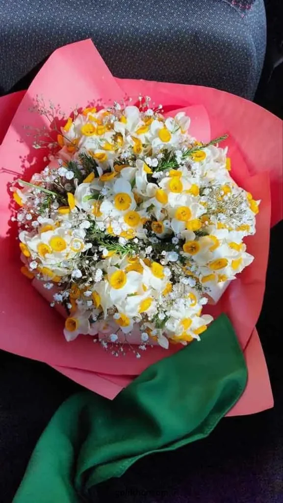 تصویر مرتبط با ۵۰ مدل زیبا و متنوع عکس گل برای پروفایل واتساپ