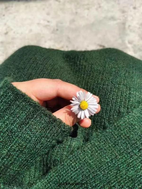 تصویر مرتبط با ۵۰ مدل زیبا و متنوع عکس گل برای پروفایل واتساپ