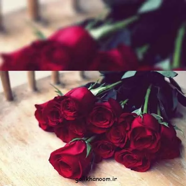 تصویر مرتبط با ۵۰ مدل زیبا و متنوع عکس گل برای پروفایل واتساپ