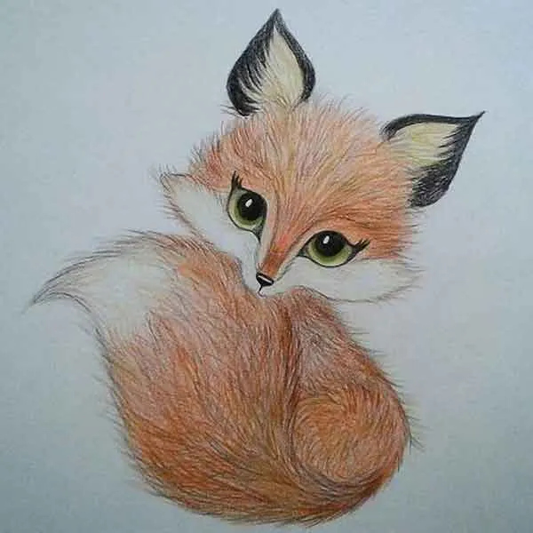 تصویر مرتبط با مدل‌های متنوع و جذاب نقاشی روباه برای همه سنین