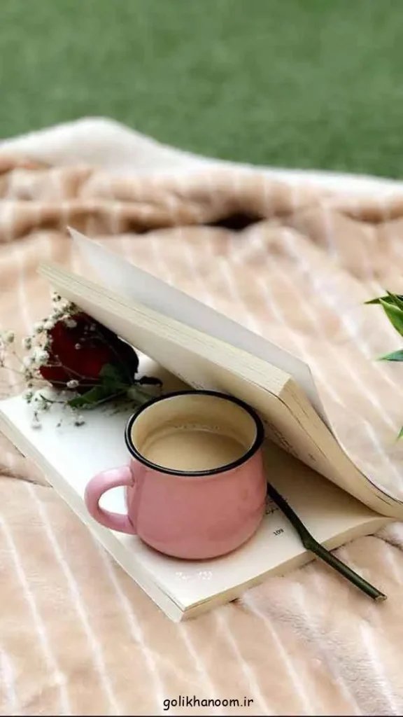 تصویر مرتبط با مدل‌های جذاب عکس کتاب برای پروفایل شاد و طبیعی