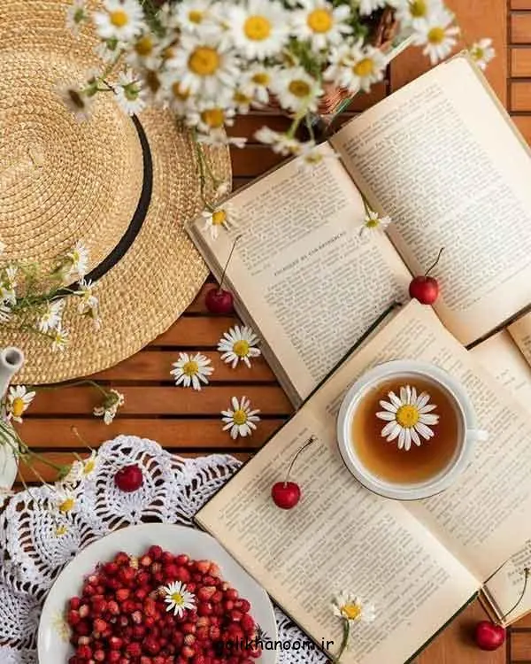 تصویر مرتبط با مدل‌های جذاب عکس کتاب برای پروفایل شاد و طبیعی