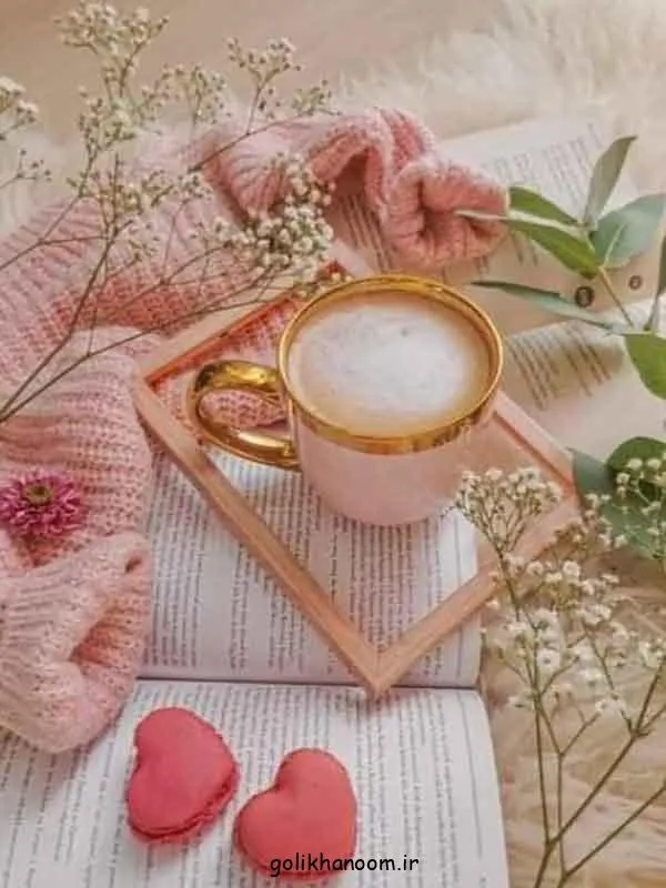 تصویر مرتبط با مدل‌های جذاب عکس کتاب برای پروفایل شاد و طبیعی