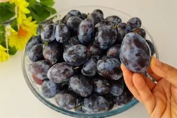 نگهداری آلو و تهیه مارمالاد؛ شیشههای مارمالاد آلو با رنگ خوشرنگ و ط