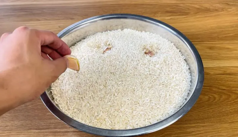 الک کردن برنج برای پاکسازی شپشک