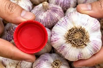 ۵ روش آسان برای پوست کندن سیر بدون دخالت دست