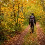۷ ورزش مناسب برای فعالیت؛ تصویری از ورزشهای مناسب برای روزهای خنک پ