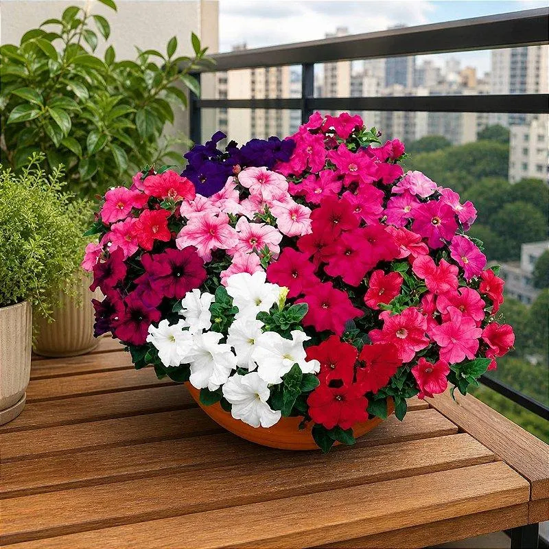 تصویر مرتبط با راهنمای جامع تکثیر و نگهداری گل اطلسی در خانه