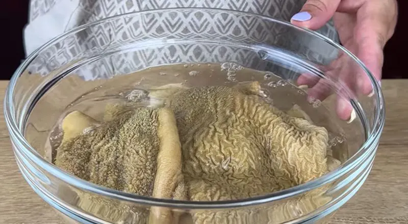 تراشیدن لایه سبز و تیره سیرابی با چاقو