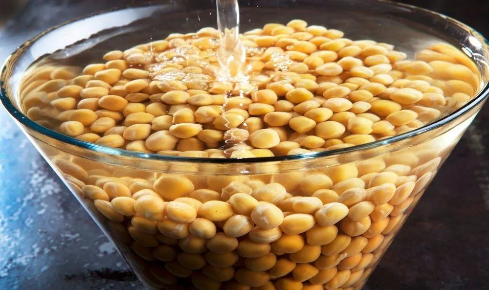 تصویر مرتبط با طرز تهیه دمپختک دمی باقالی اصفهانی؛ غذای سنتی ساده و خوشطعم