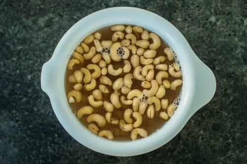 تصویر مرتبط با طرز تهیه پنیر خامه ای گیاهی خانگی با طعمی بی‌نظیر و بدون لبنیات