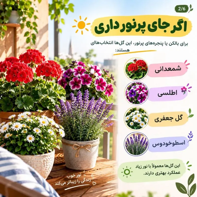 آبیاری و نگهداری گل‌های گلدانی در شرایط مختلف نوری