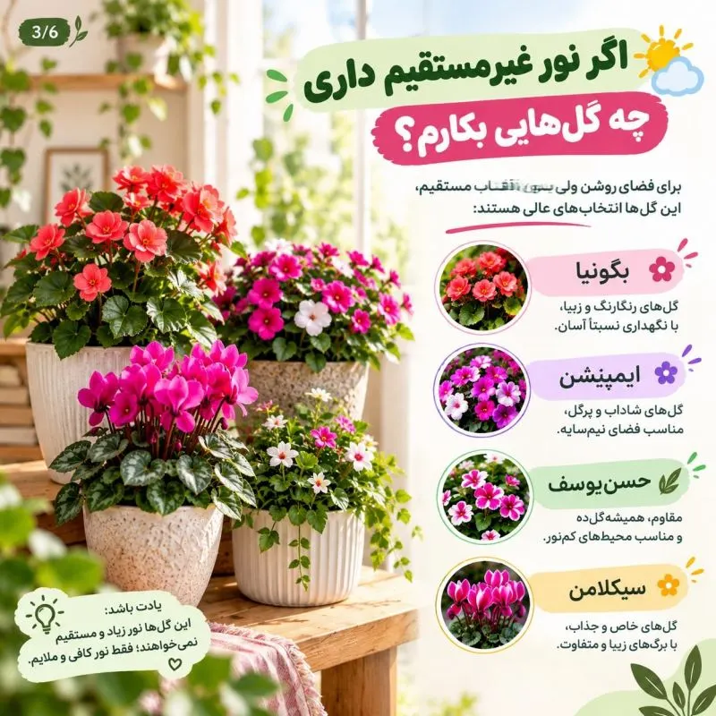 چند نوع گل مناسب برای گلدان در فضاهای پرنور و کم نور