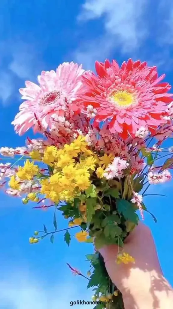 تصویر مرتبط با مجموعهای از عکس پروفایل گل زیبا با رنگها و طرحهای متنوع
