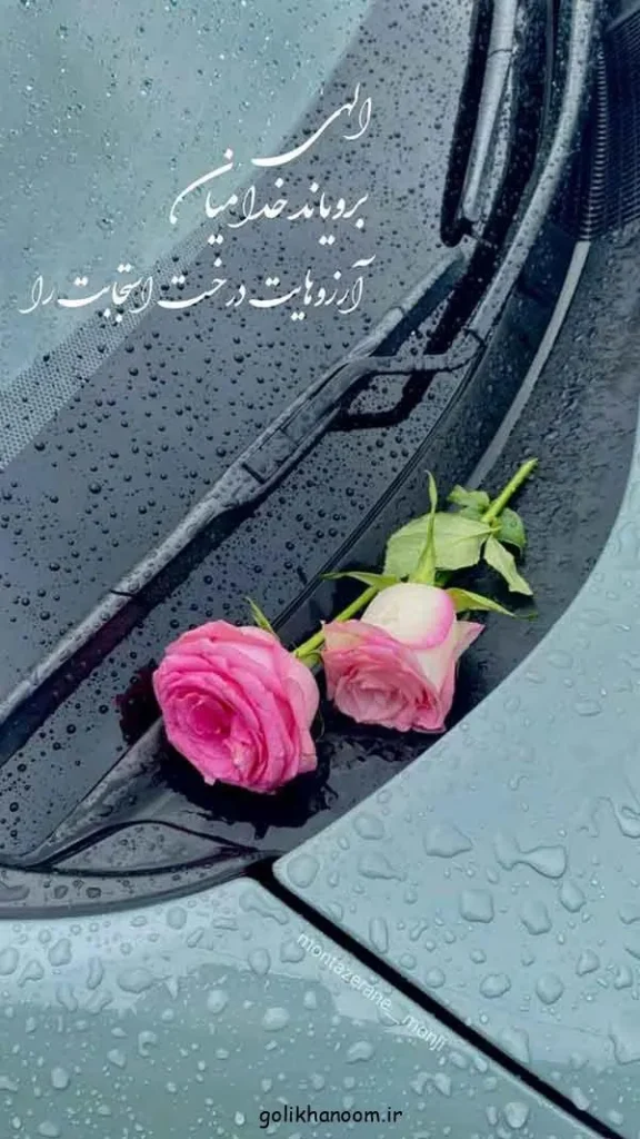 تصویر مرتبط با مجموعهای از عکس پروفایل گل زیبا با رنگها و طرحهای متنوع