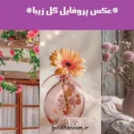 عکس پروفایل گل زیبا؛ عکس پروفایل با گل‌های زیبا و رنگارنگ مناسب استف