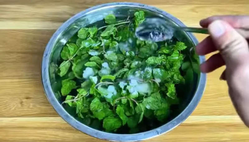 تصویر مرتبط با ۴ روش موثر برای تازه نگه داشتن نعناع در یخچال