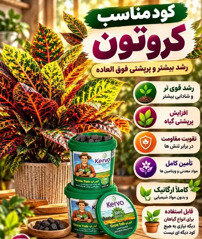 برگ‌های رنگارنگ و متنوع گیاه کروتون