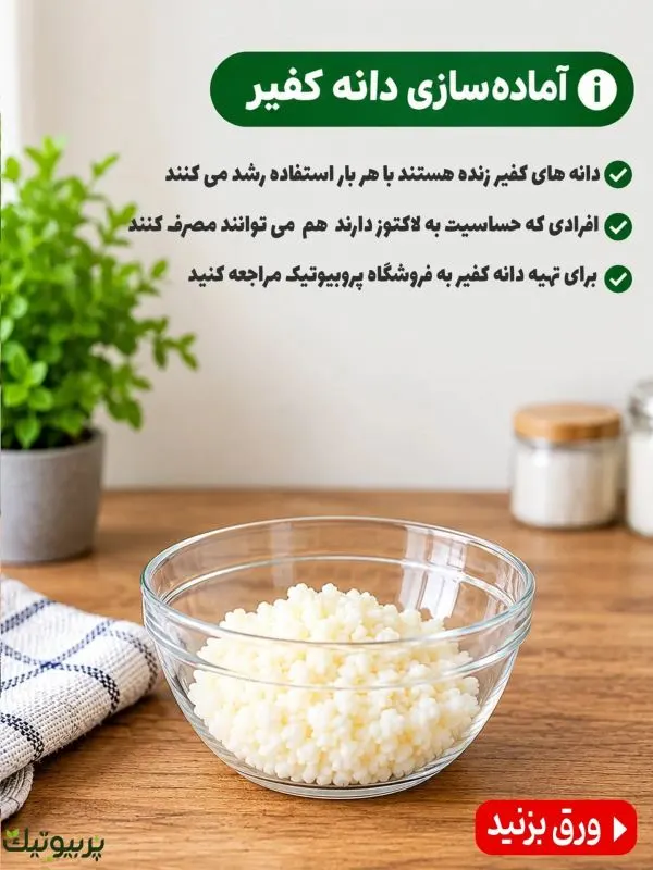 تصویر مرتبط با طرز تهیه قارچ کفیر پربیوتیک و آشنایی با خواص آن
