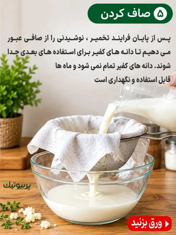 تصویر مرتبط با طرز تهیه قارچ کفیر پربیوتیک و آشنایی با خواص آن