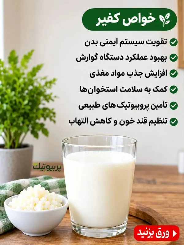 تصویر مرتبط با طرز تهیه قارچ کفیر پربیوتیک و آشنایی با خواص آن