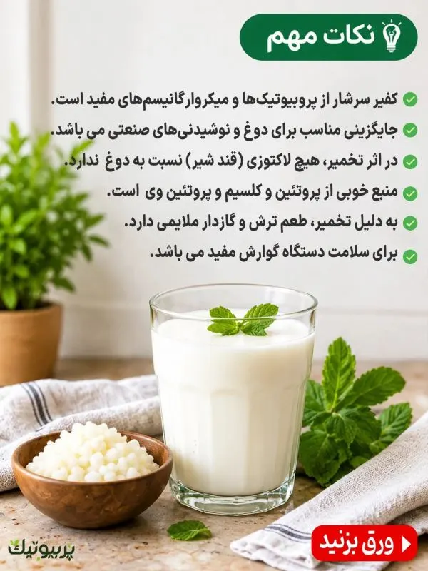 تصویر مرتبط با طرز تهیه قارچ کفیر پربیوتیک و آشنایی با خواص آن