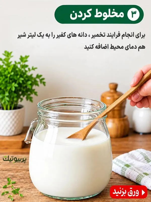 تصویر مرتبط با طرز تهیه قارچ کفیر پربیوتیک و آشنایی با خواص آن