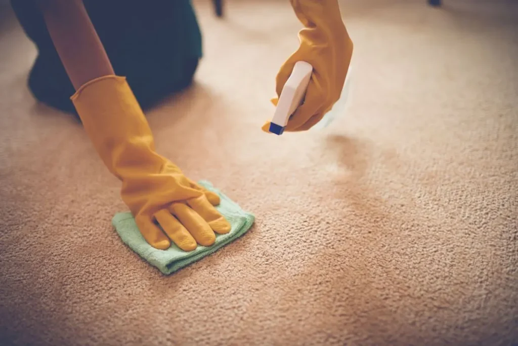 تصویر مرتبط با روش‌های اصولی پاک کردن لکه هندوانه از روی فرش