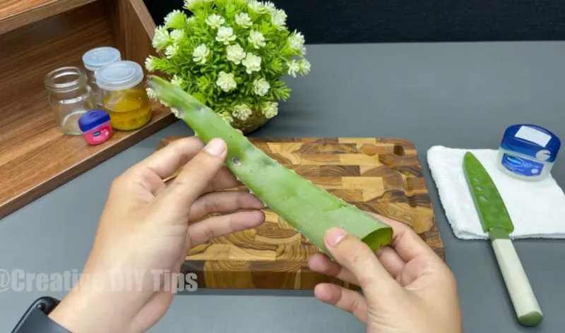 ژل آلوئه‌ورا تازه برای تهیه کرم