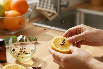 تصویری مرتبط با روشهای دور کردن حشرات از خانه با وسایل دمدستی
