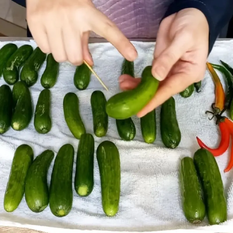شوید و مرزه تازه برای خیارشور
