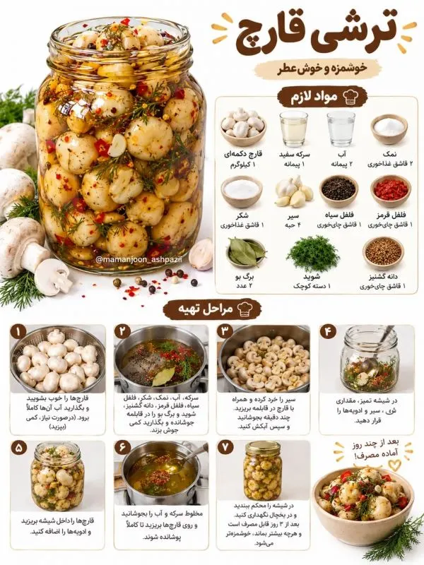 تصویر ترشی به عنوان چاشنی کنار غذا