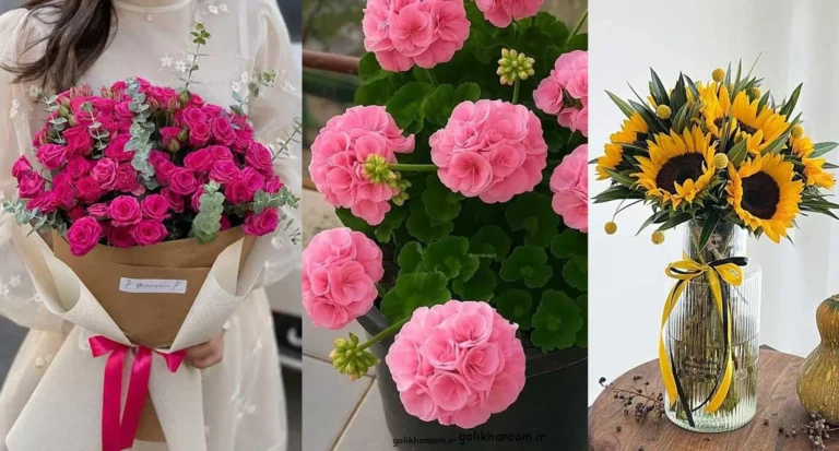 تصویر شاخص عکس گل طبیعی با رنگ‌های متنوع و زیبایی خاص