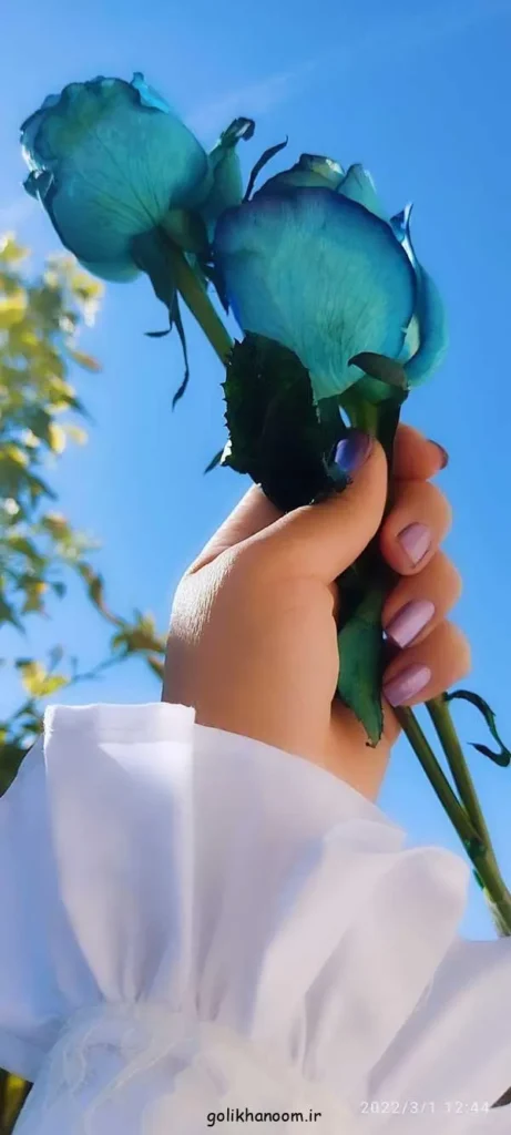 دسته‌ای از گل‌های طبیعی با رنگ‌های شاد و جذاب