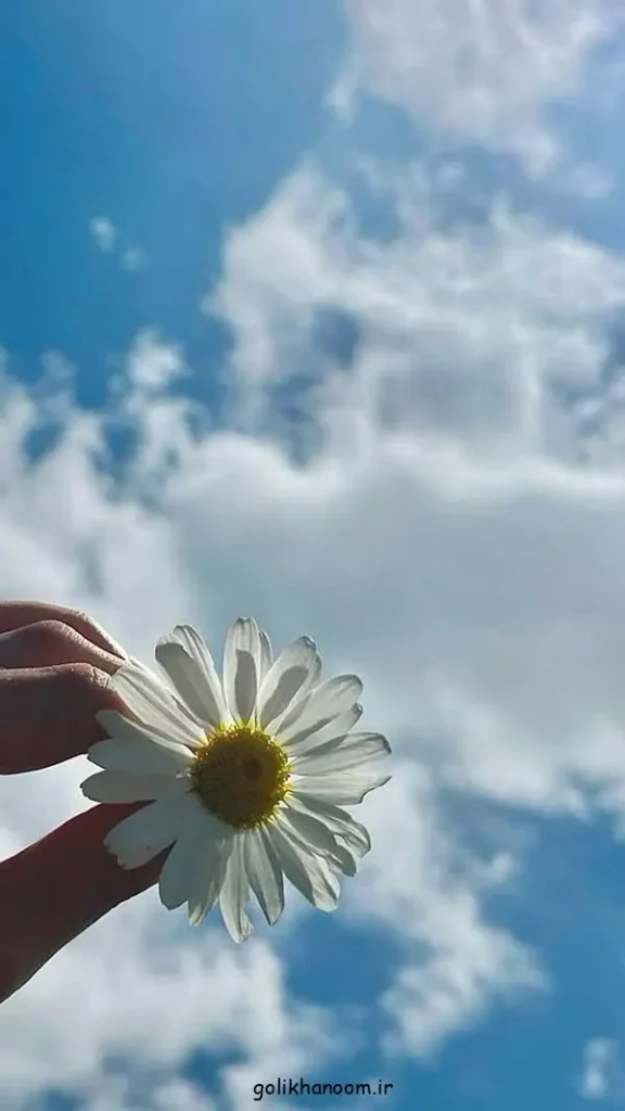 تصویر مرتبط با زیبایی‌های عکس گل طبیعی؛ ۴۰ مدل خاص و چشم‌نواز