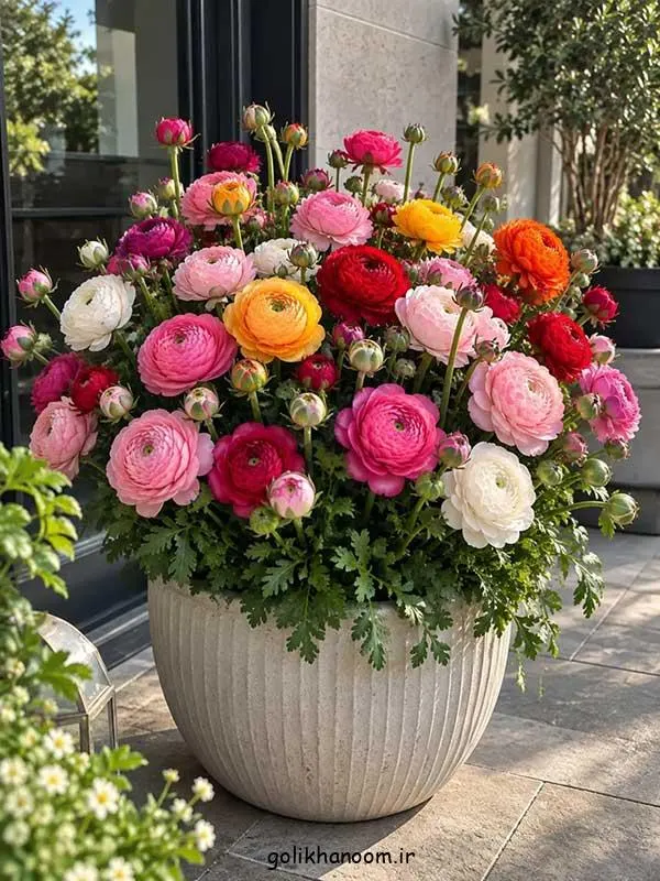 تصویر مرتبط با زیبایی‌های عکس گل طبیعی؛ ۴۰ مدل خاص و چشم‌نواز