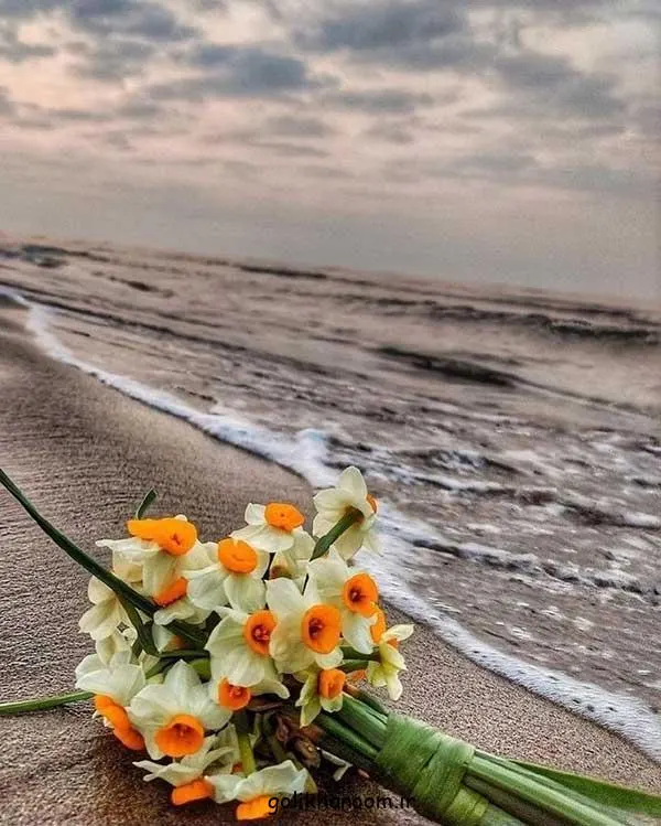 تصویر مرتبط با زیبایی‌های عکس گل طبیعی؛ ۴۰ مدل خاص و چشم‌نواز