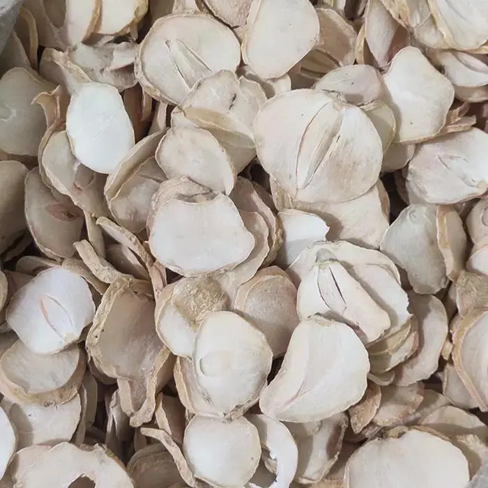 تصویر مرتبط با موسیر پلو؛ پلوی خوش‌عطر و ساده شمالی برای مهمانی‌ها