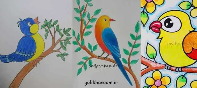 تصویر نقاشی کبوتر با مداد رنگی برای مبتدیان