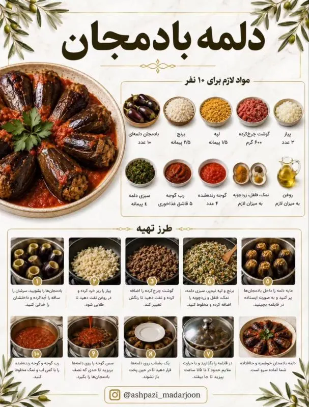 دلمه برگ مو پیچیده شده و آماده سرو