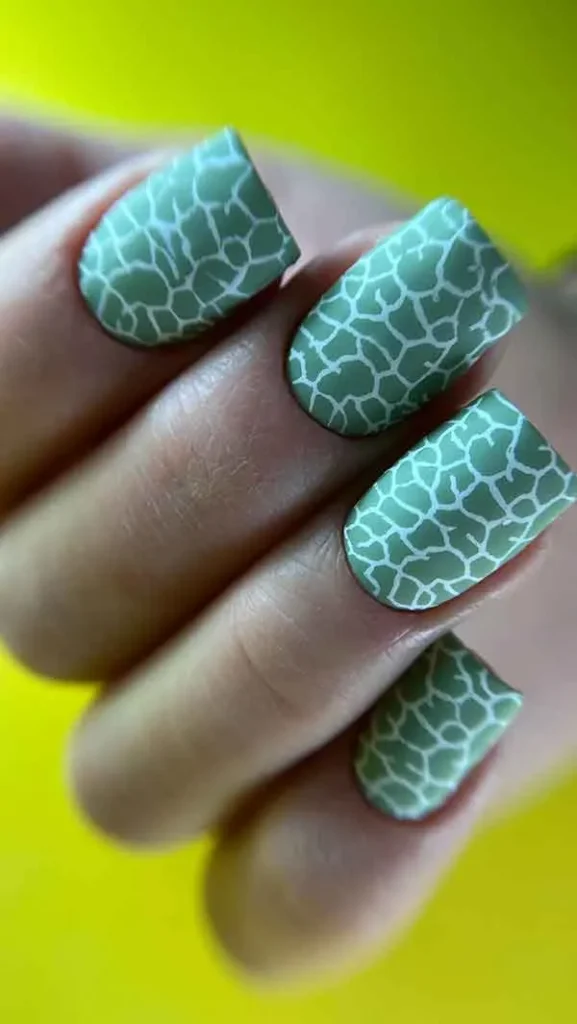تصویر مرتبط با راهنمای کامل انتخاب مدل طرح ناخن جدید برای انواع کاشت