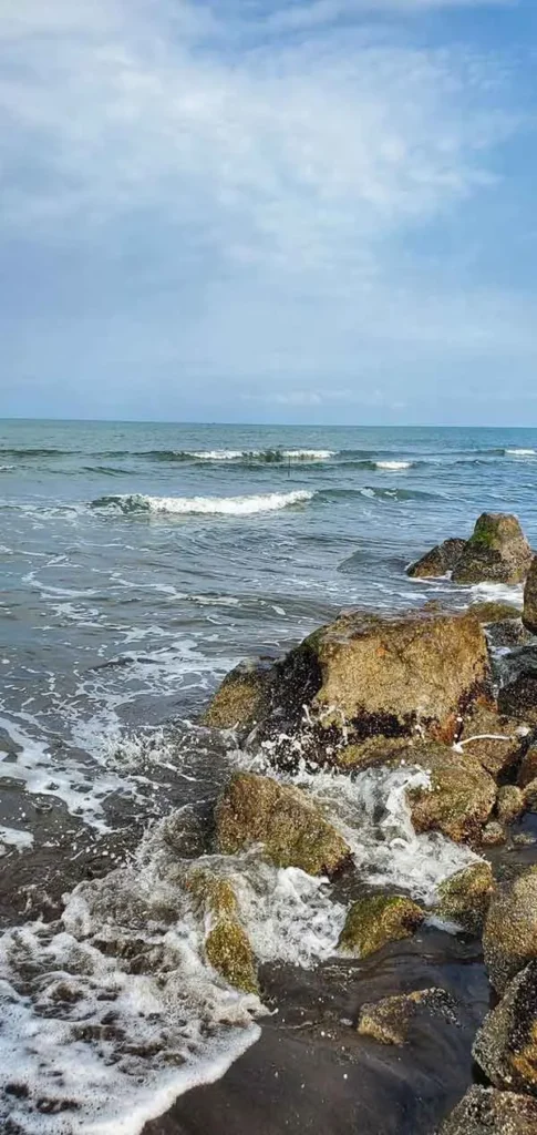 تصویر دریا در شب با نورهای آرامش‌بخش برای پروفایل